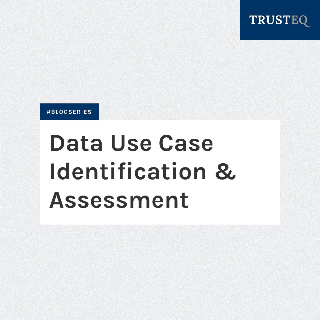 Data Use Case Identification and Assessment